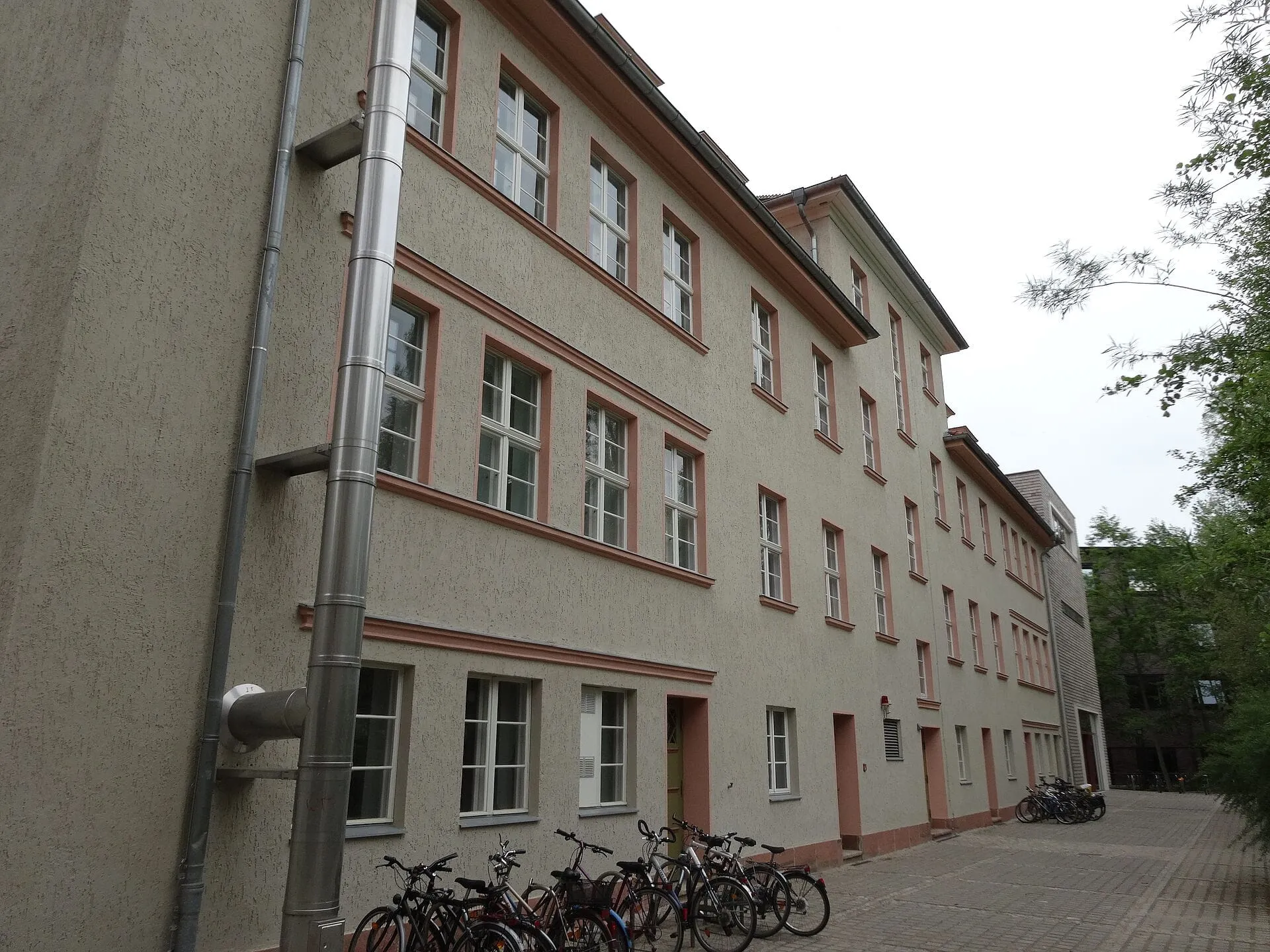 Galeriebild