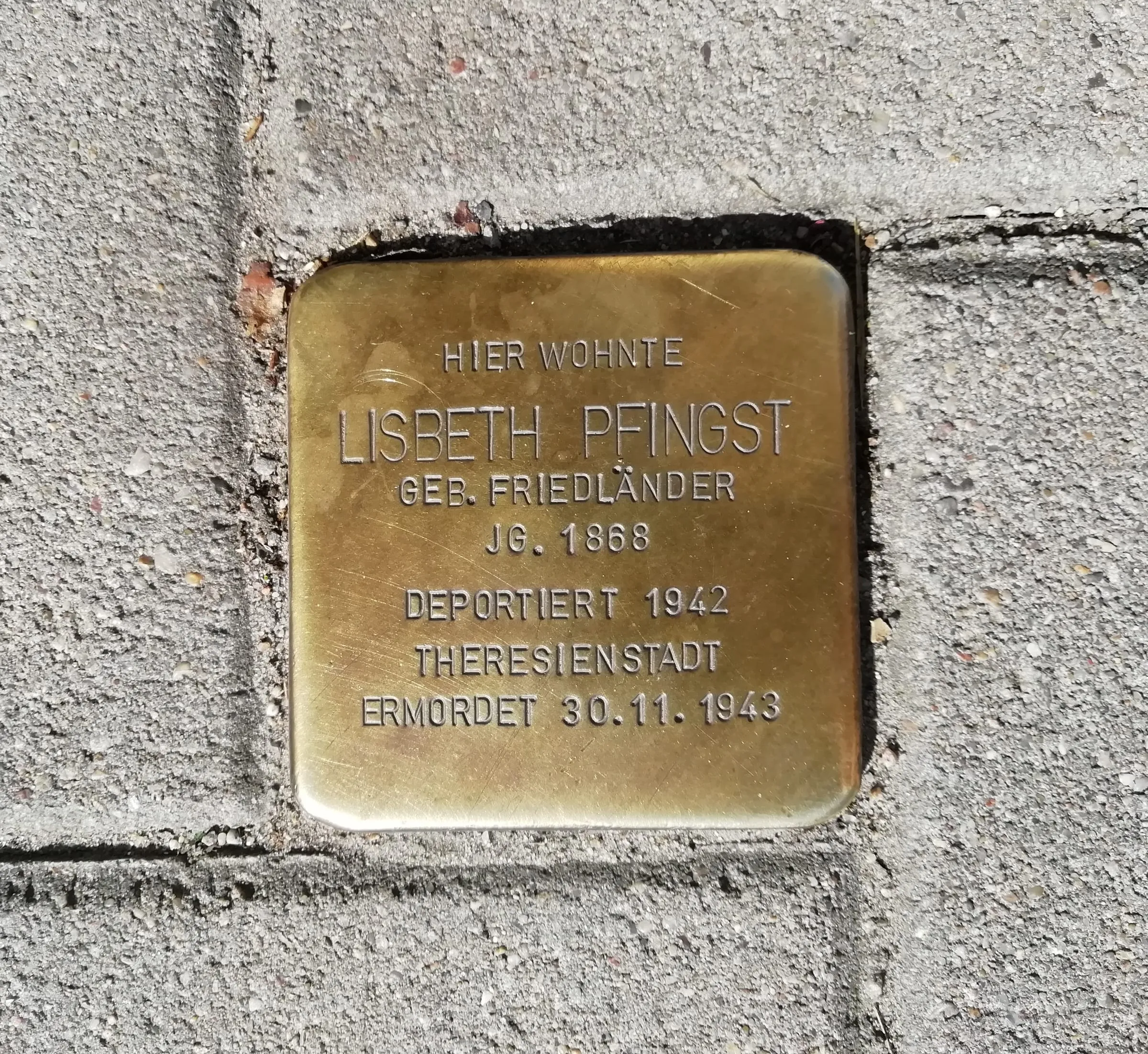 Galeriebild 2